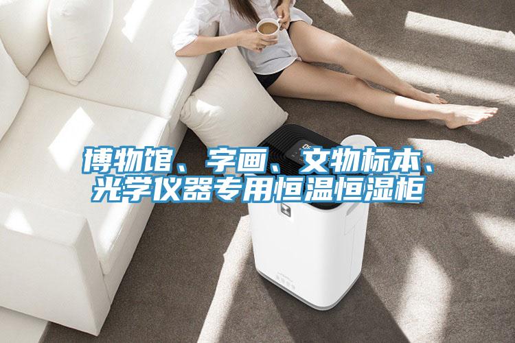 博物館、字畫、文物標本、光學儀器專用恒溫恒濕柜