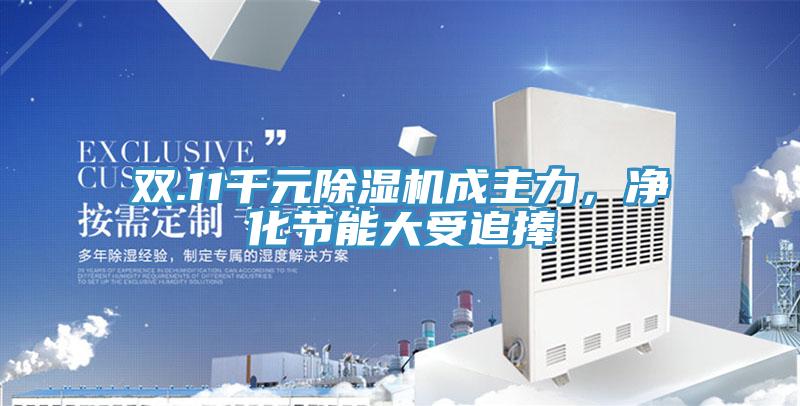 雙.11千元除濕機成主力，凈化節能大受追捧