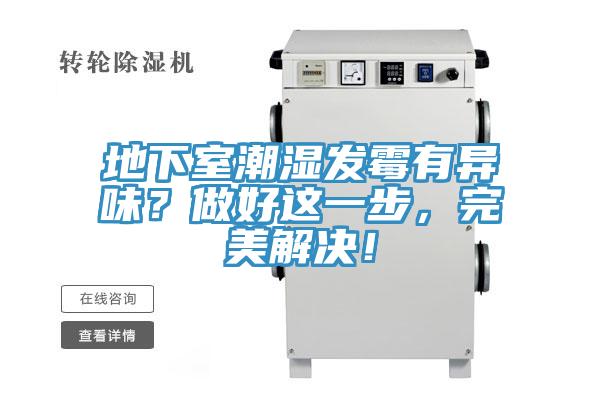 地下室潮濕發霉有異味？做好這一步，完美解決！