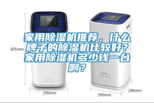 家用除濕機推薦，什么牌子的除濕機比較好？家用除濕機多少錢一臺啊？