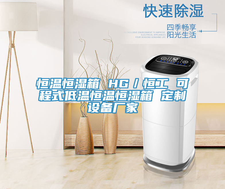 恒溫恒濕箱 HG/恒工 可程式低溫恒溫恒濕箱 定制設備廠家