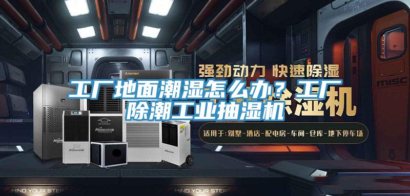 工廠地面潮濕怎么辦?工廠除潮工業抽濕機