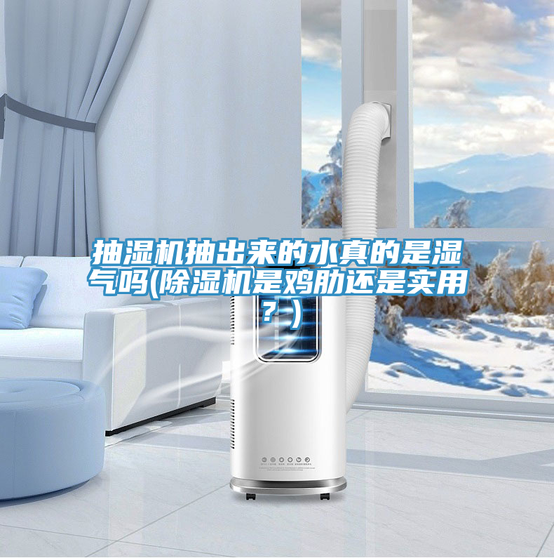 抽濕機抽出來的水真的是濕氣嗎(除濕機是雞肋還是實用？)