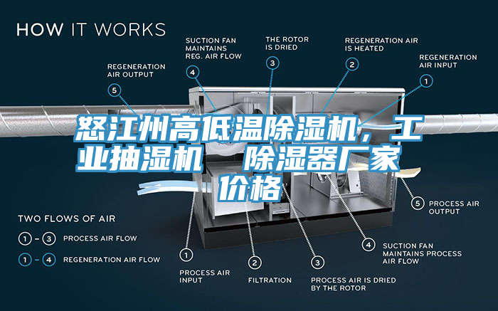 怒江州高低溫除濕機,工業抽濕機 除濕器廠家 價格