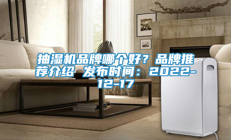 抽濕機品牌哪個好？品牌推薦介紹 發布時間：2022-12-17