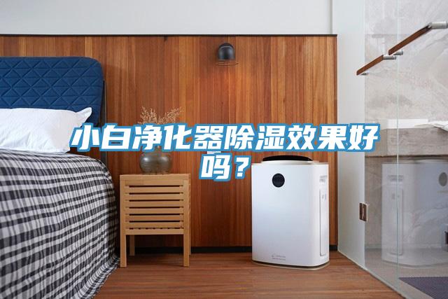 小白凈化器除濕效果好嗎?