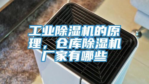 工業除濕機的原理,倉庫除濕機廠家有哪些