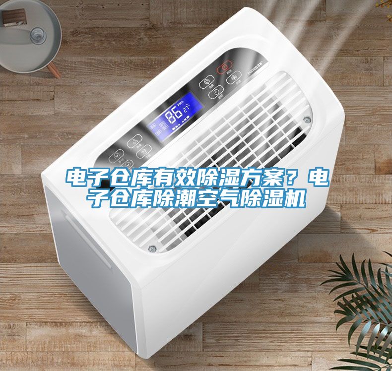 電子倉(cāng)庫有效除濕方案？電子倉(cāng)庫除潮空氣除濕機(jī)