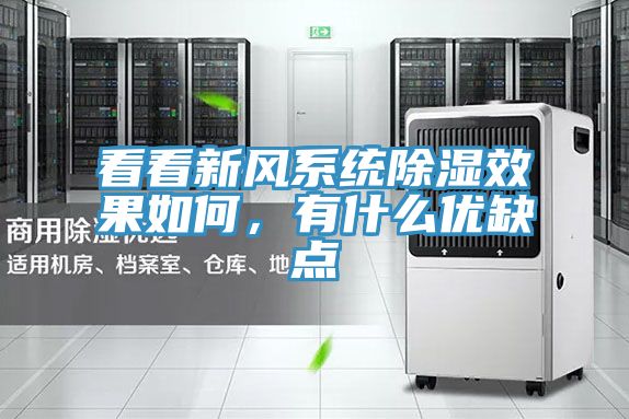 看看新風(fēng)系統(tǒng)除濕效果如何，有什么優(yōu)缺點