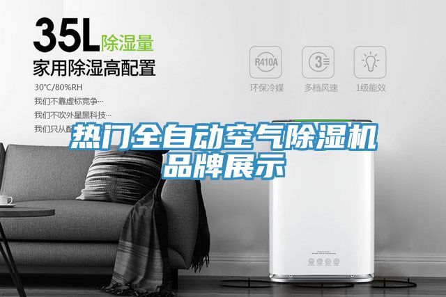 熱門全自動空氣除濕機(jī)品牌展示