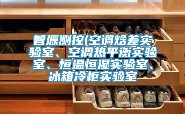 智源測控(空調焓差實驗室、空調熱平衡實驗室、恒溫恒濕實驗室、冰箱冷柜實驗室