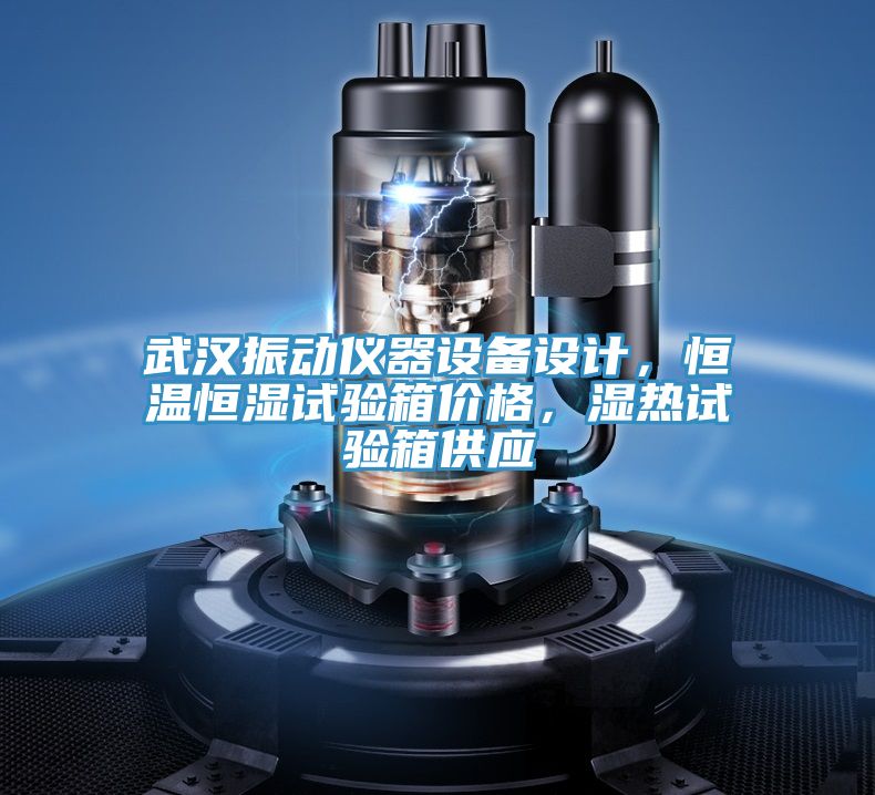 武漢振動(dòng)儀器設(shè)備設(shè)計(jì)，恒溫恒濕試驗(yàn)箱價(jià)格，濕熱試驗(yàn)箱供應(yīng)