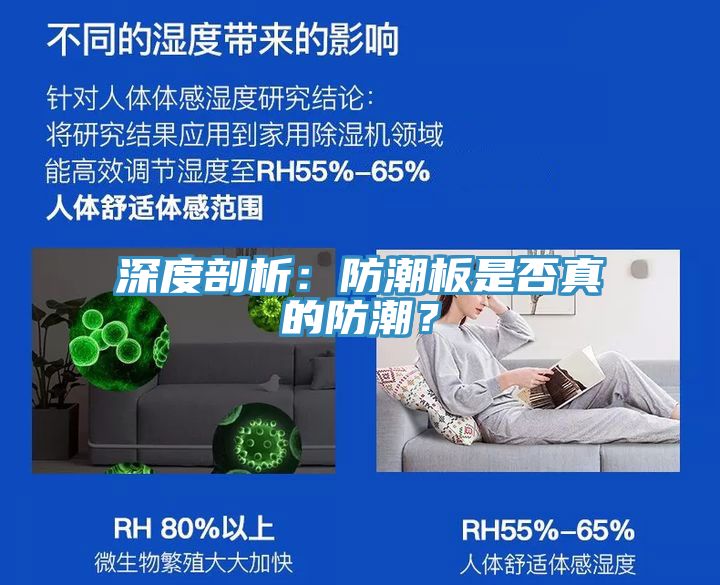 深度剖析:防潮板是否真的防潮?