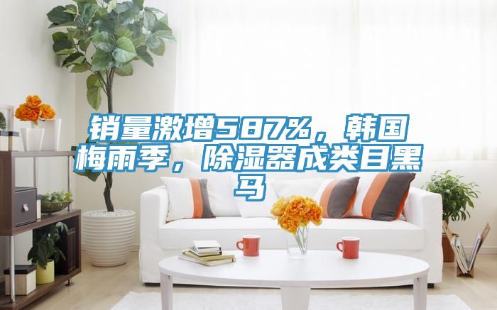 銷量激增587%,韓國(guó)梅雨季,除濕器成類目黑馬