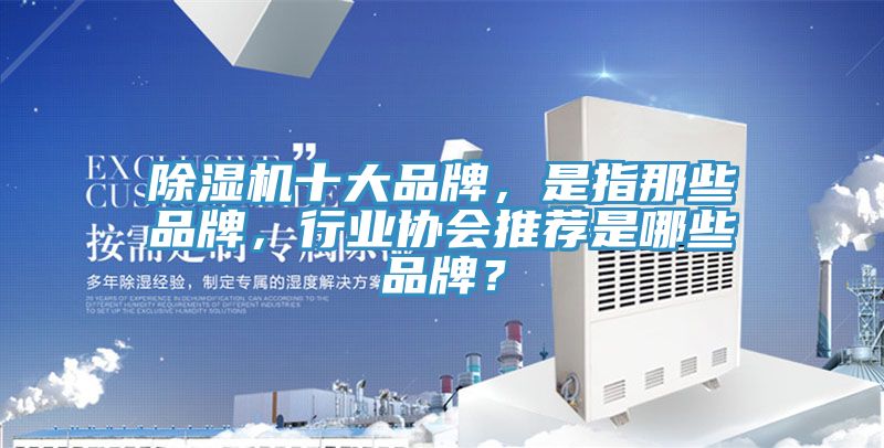 除濕機十大品牌,是指那些品牌,行業(yè)協(xié)會推薦是哪些品牌?