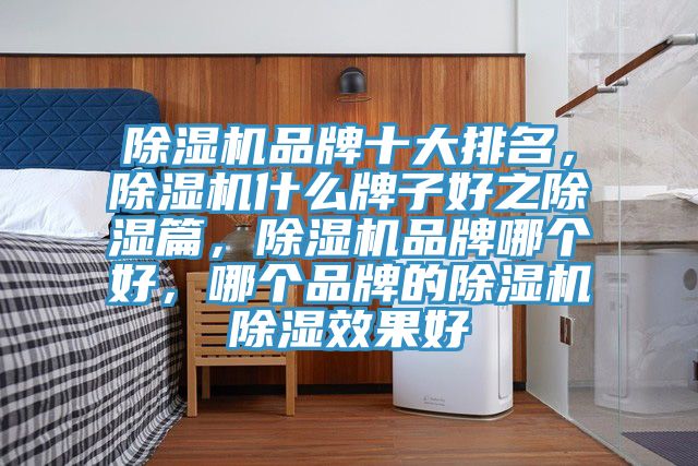 除濕機(jī)品牌十大排名,除濕機(jī)什么牌子好之除濕篇,除濕機(jī)品牌哪個(gè)好,哪個(gè)品牌的除濕機(jī)除濕效果好