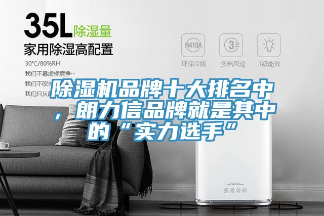 除濕機(jī)品牌十大排名中，朗力信品牌就是其中的“實(shí)力選手”