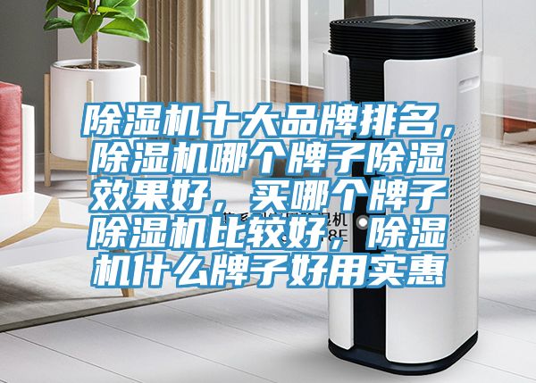 除濕機(jī)十大品牌排名,除濕機(jī)哪個(gè)牌子除濕效果好,買哪個(gè)牌子除濕機(jī)比較好,除濕機(jī)什么牌子好用實(shí)惠