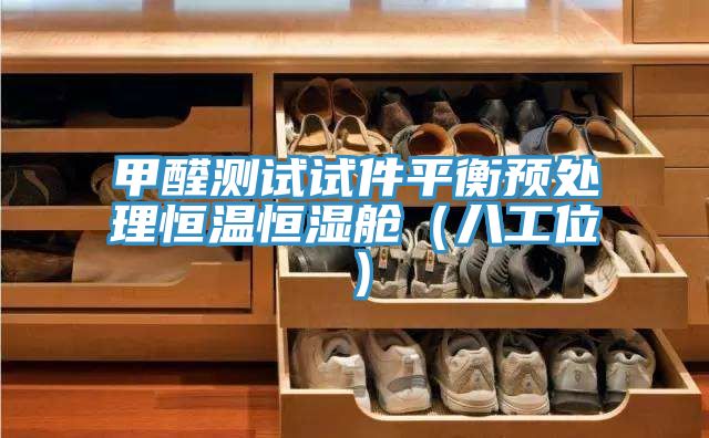 甲醛測(cè)試試件平衡預(yù)處理恒溫恒濕艙(八工位)