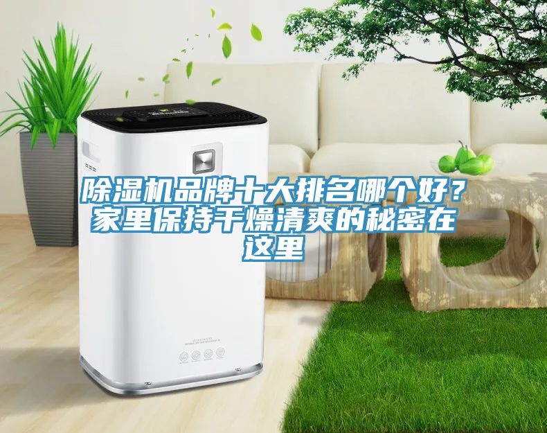 除濕機(jī)品牌十大排名哪個(gè)好？家里保持干燥清爽的秘密在這里