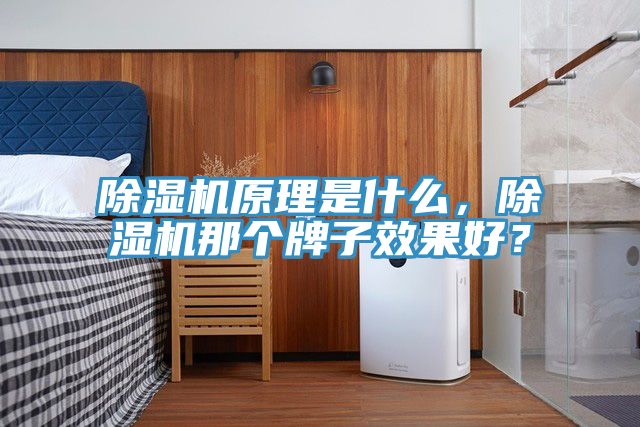 除濕機原理是什么,除濕機那個牌子效果好?
