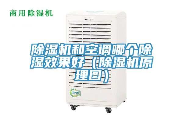 除濕機和空調哪個除濕效果好(除濕機原理圖)