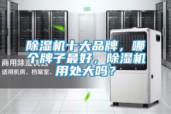 除濕機十大品牌,哪個牌子最好,除濕機用處大嗎?