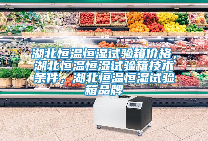 湖北恒溫恒濕試驗箱價格,湖北恒溫恒濕試驗箱技術條件,湖北恒溫恒濕試驗箱品牌