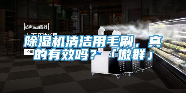除濕機清潔用毛刷,真的有效嗎?「傲群」