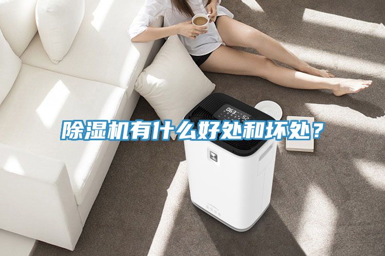 除濕機(jī)有什么好處和壞處？