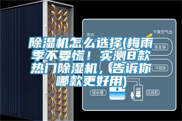 除濕機怎么選擇(梅雨季不要慌！實測8款熱門除濕機，告訴你哪款更好用)
